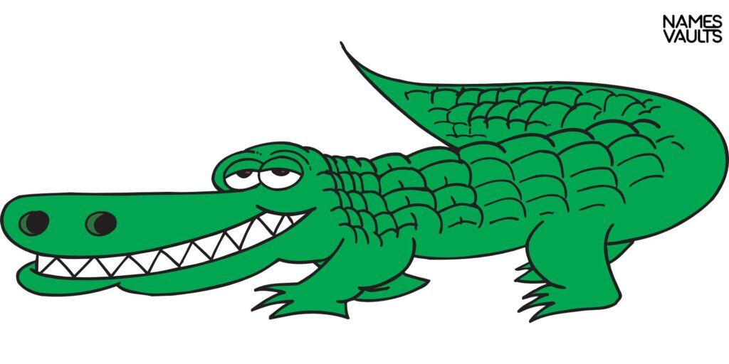 Alligator Cartoon