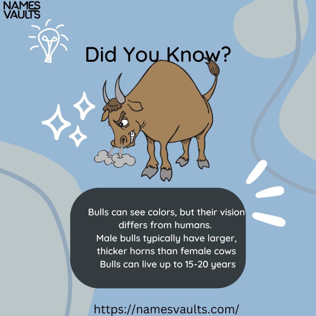 Bull Names Did You Know