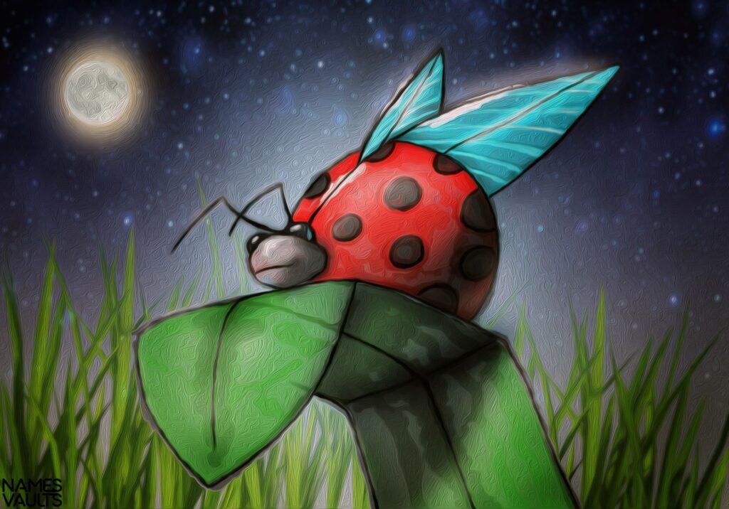 Ladybug Cartoon