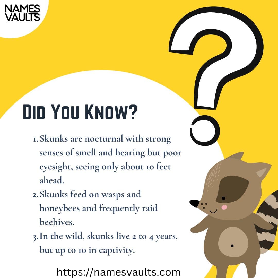 466+ Unique and Cute Skunk Names With Meaning Names Vaults