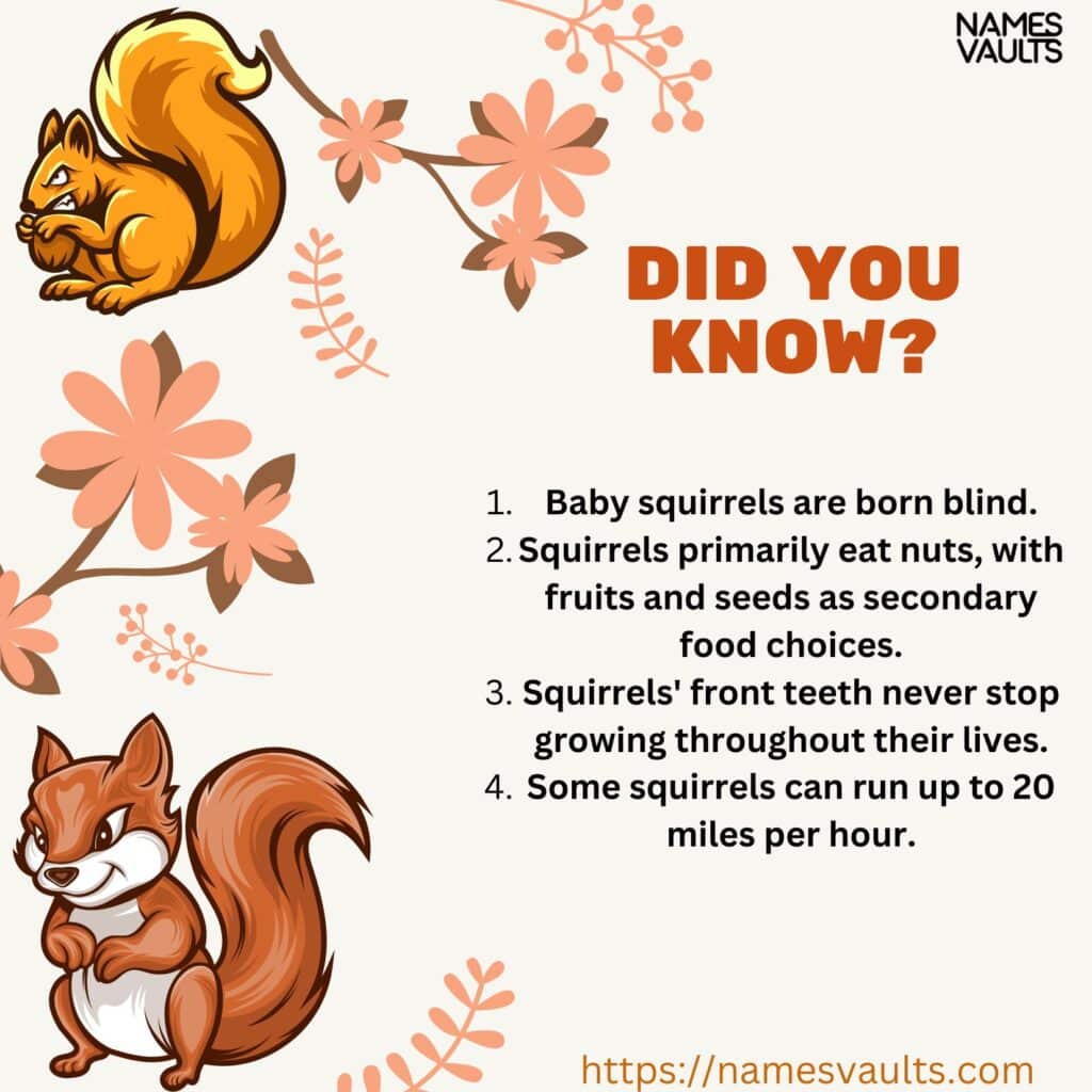 Squirrel- Did You Know