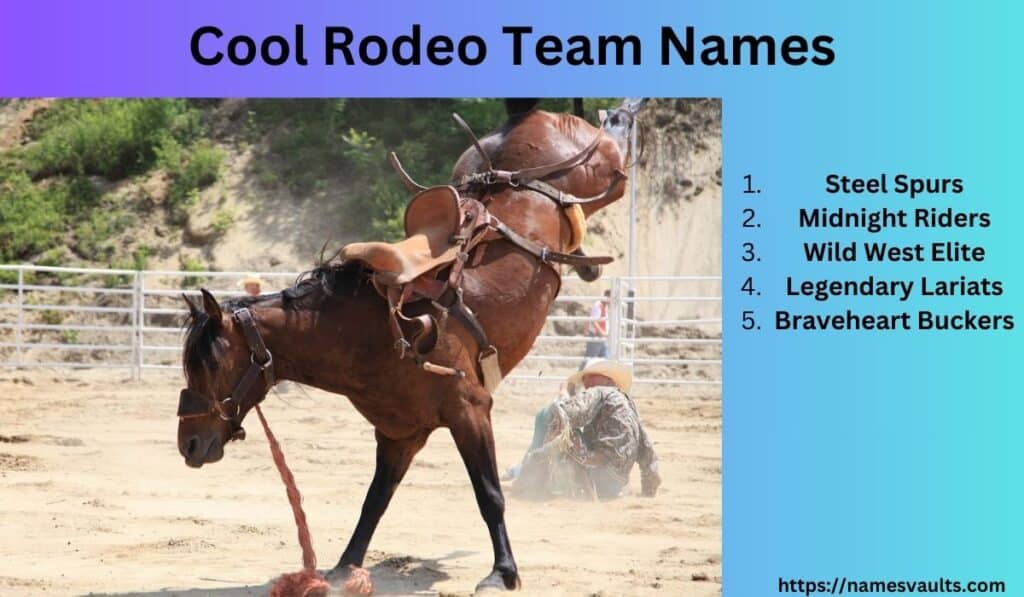 Cool Rodeo Team Names