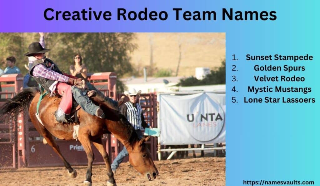 Creative Rodeo Team Names