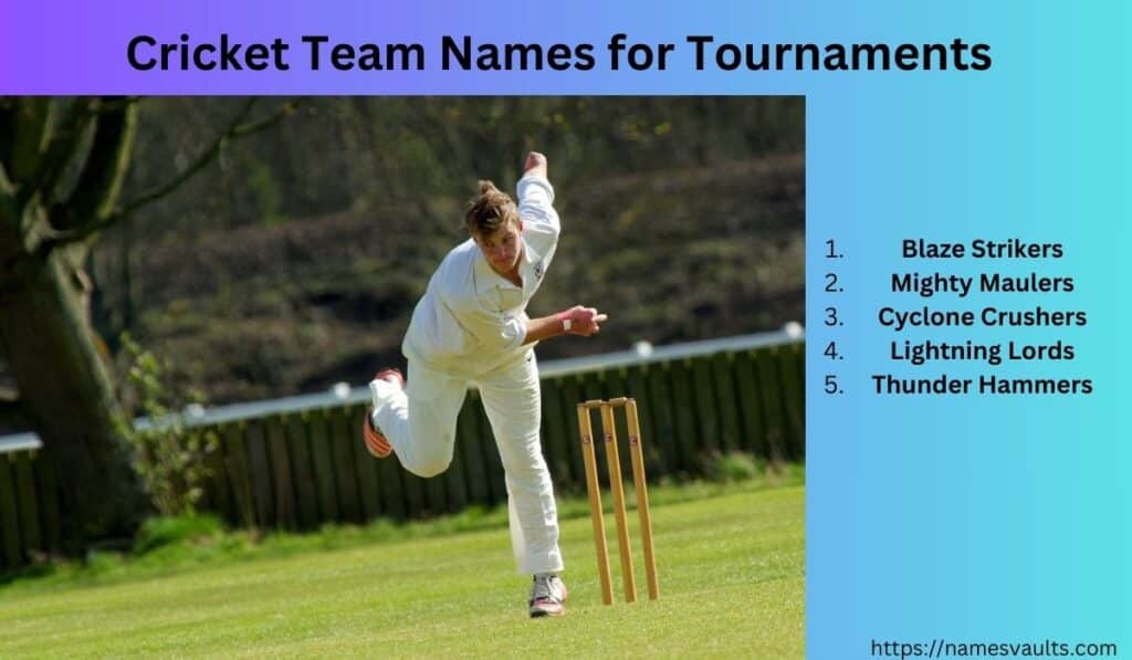 Cricket Team Names for Tournaments