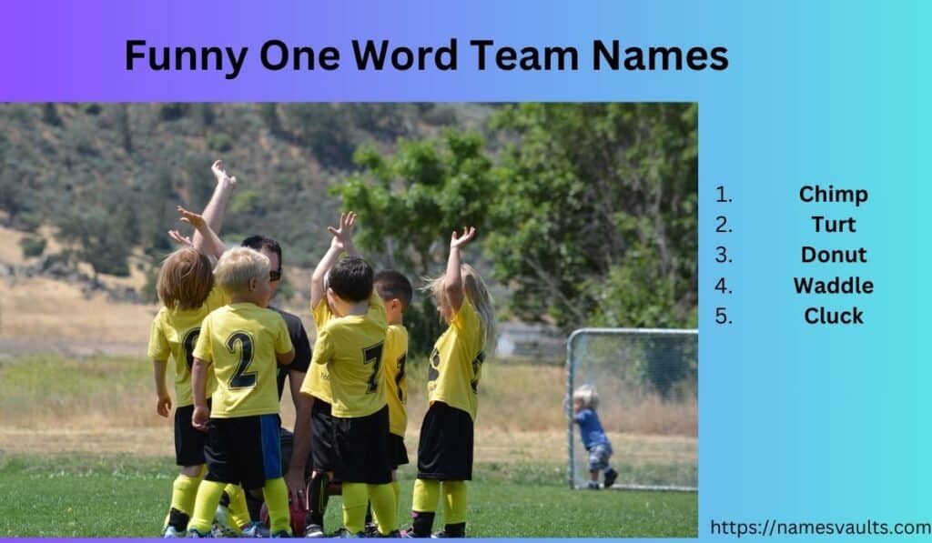 Funny One Word Team Names