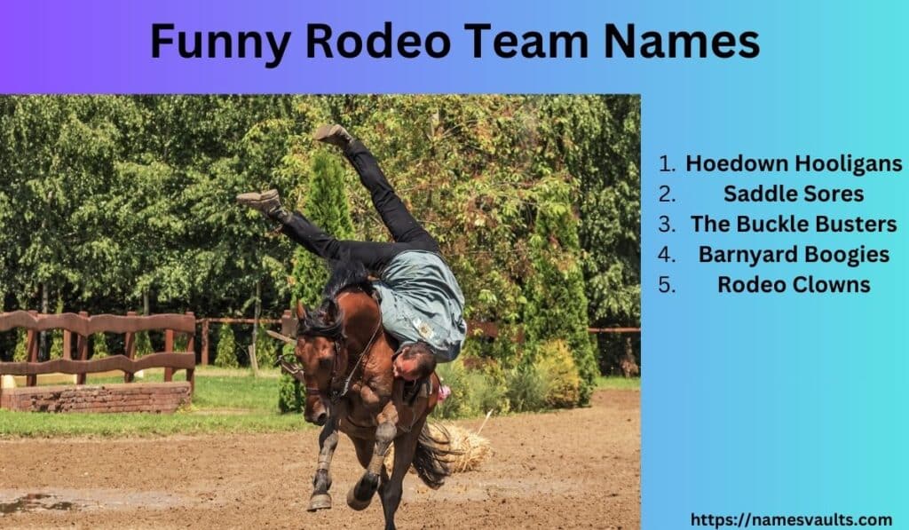 Funny Rodeo Team Names