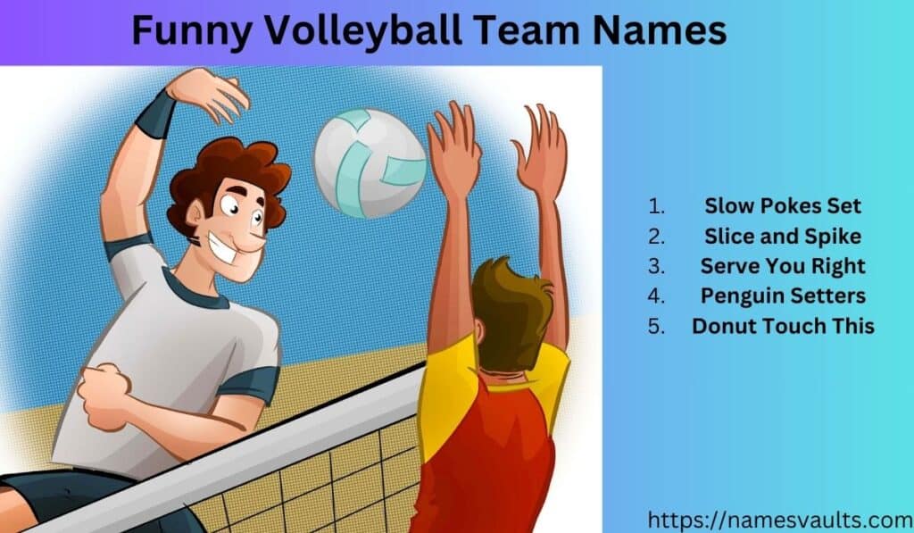 Funny Volleyball Team Names