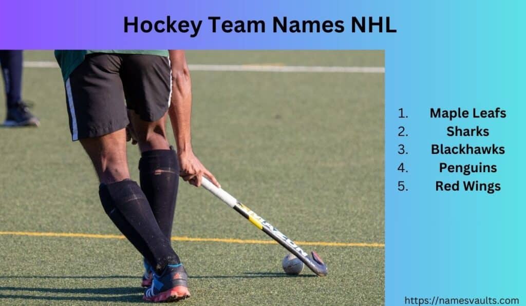 Hockey Team Names NHL