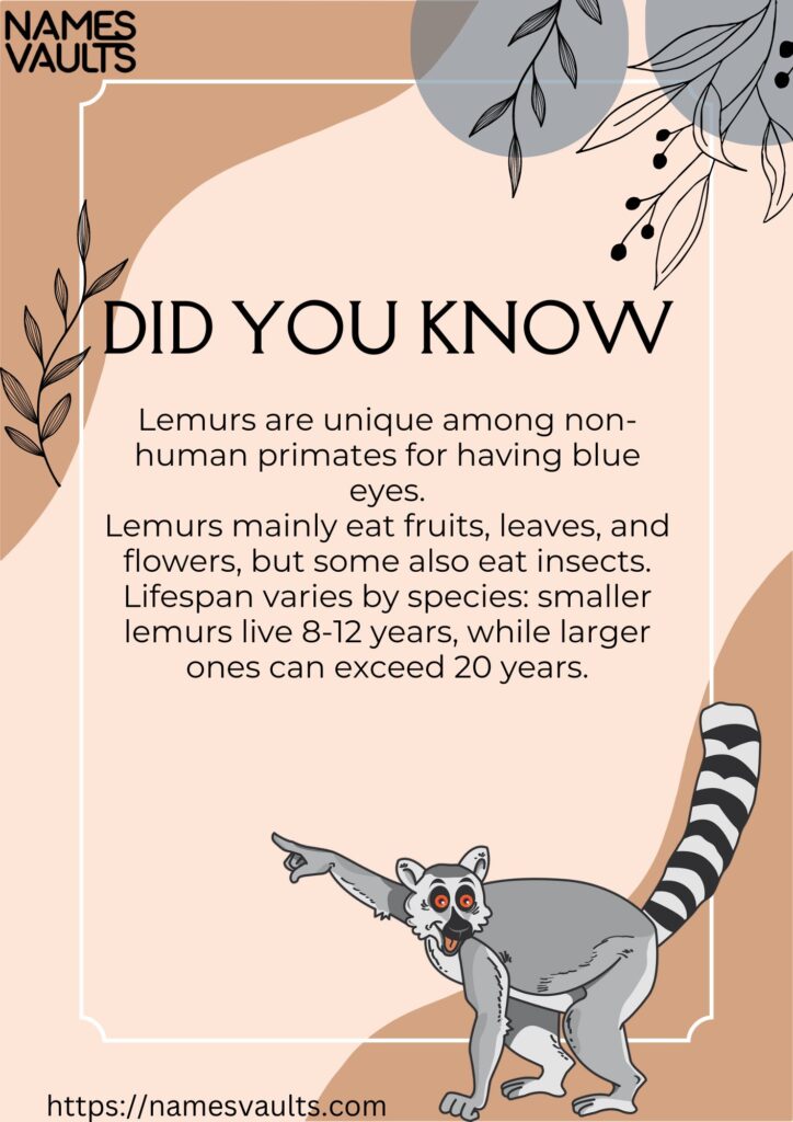 Lemur- Did You Know