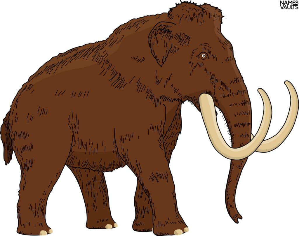 Mammoth Gif