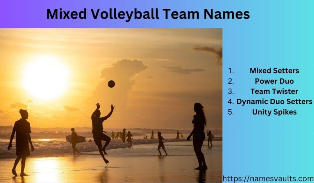 Mixed Volleyball Team Names