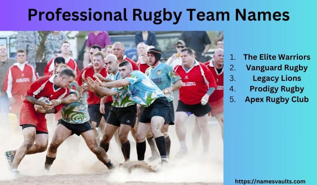 Professional Rugby Team Names