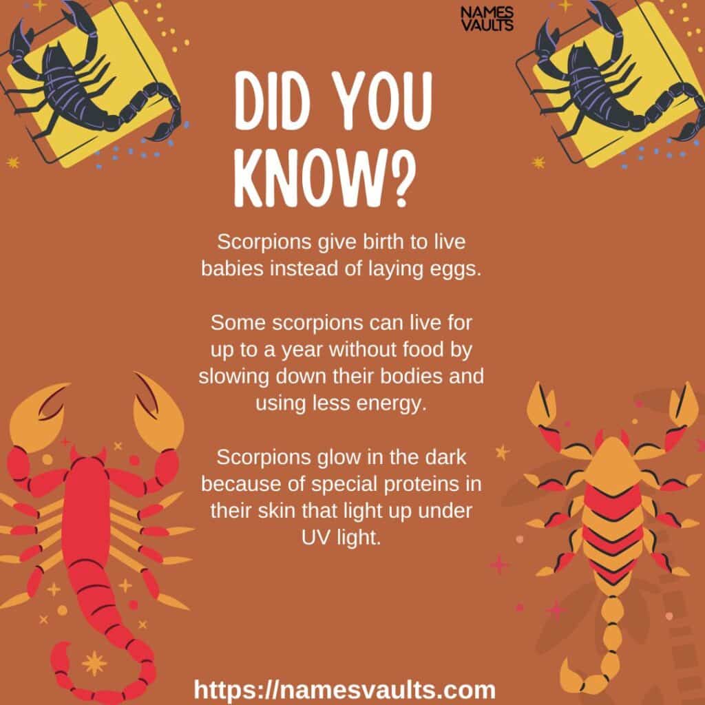 Royal Scorpion Names