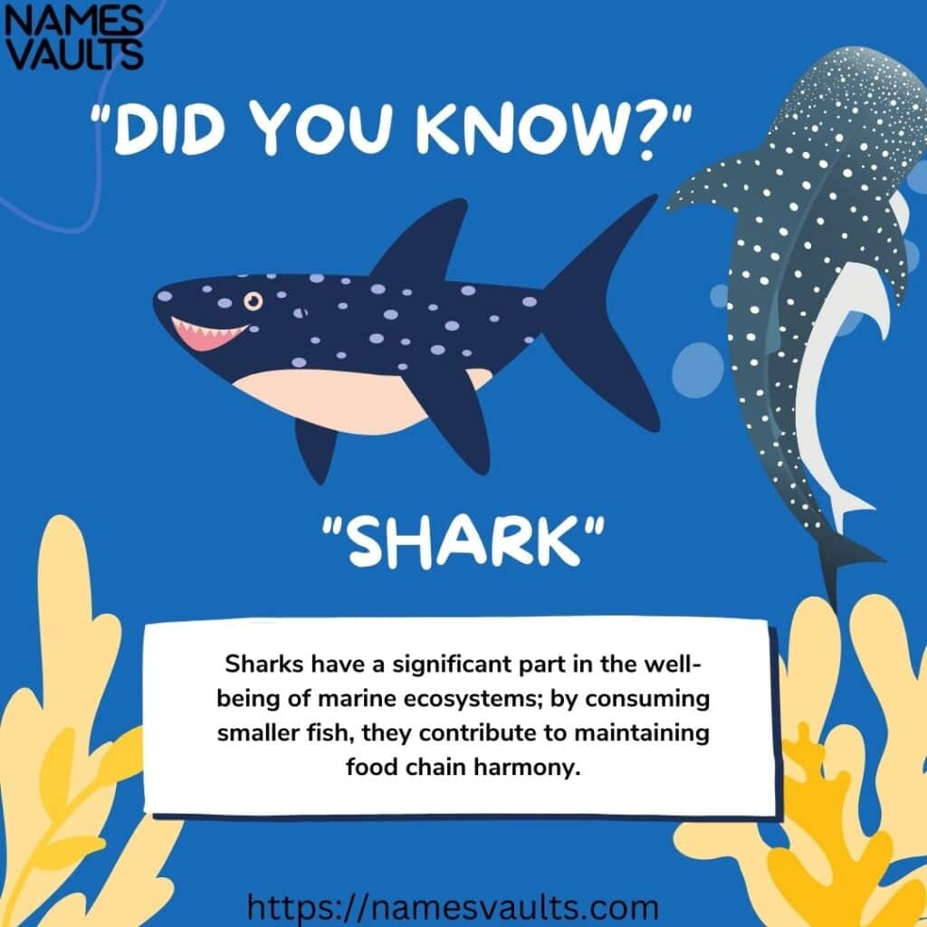 Shark- Did You Know