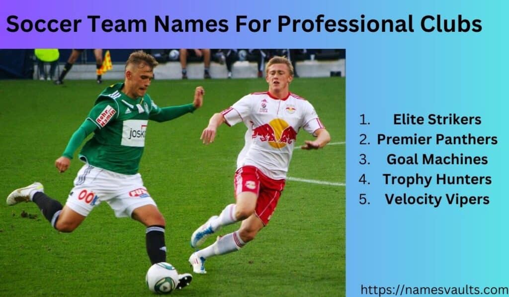 Soccer Team Names for Professional Clubs