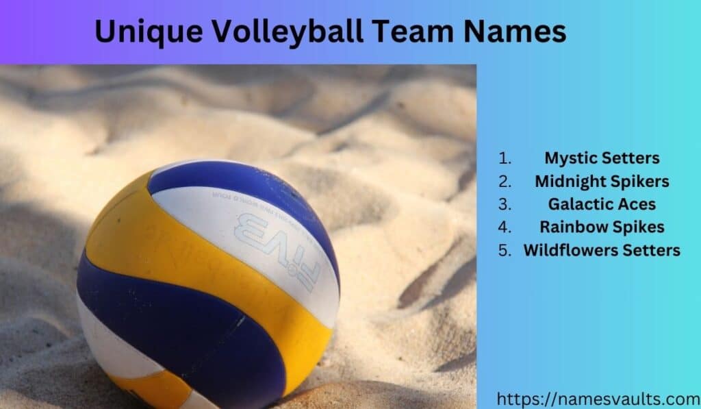 Unique Volleyball Team Names