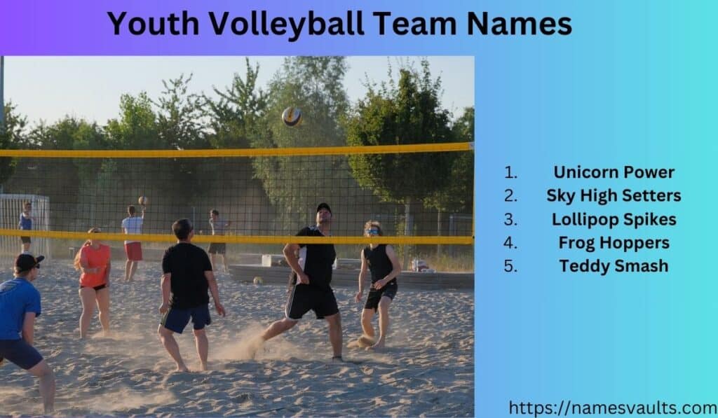 Youth Volleyball Team Names