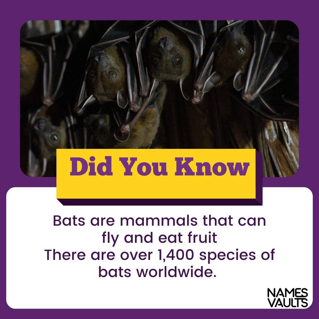Perfect Bat Names 264+ Rare & Powerful Choices Names Vaults