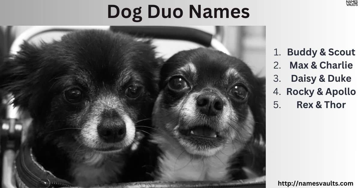 Two Dogs Names 368+ Unique and Funny Duo Names for Teams That Stay Together - Names Vaults