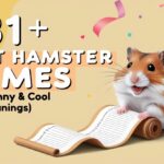 Hamster names Feature Image