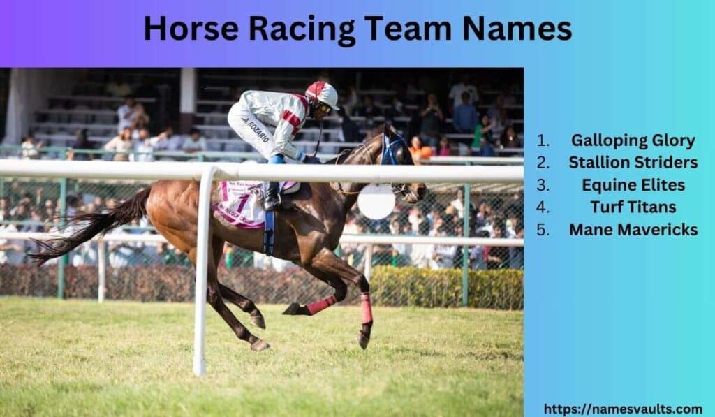 Horse Racing Team Names