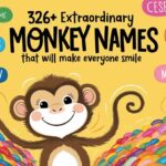 Monkey Names Feature Image