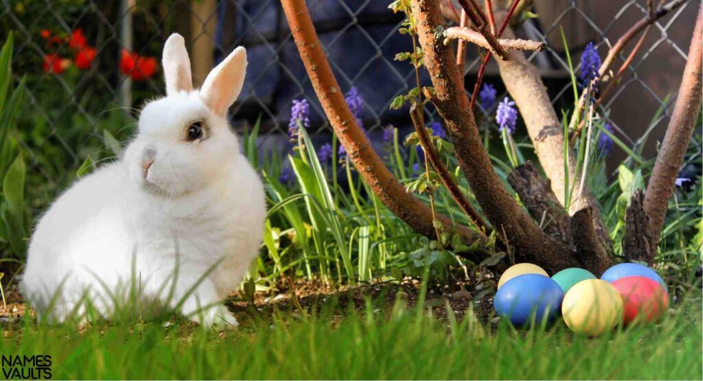 Mythical Rabbit Names