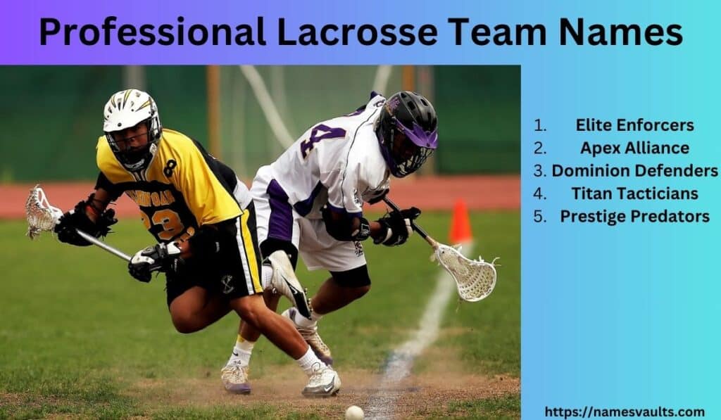 Professional Lacrosse Team Names