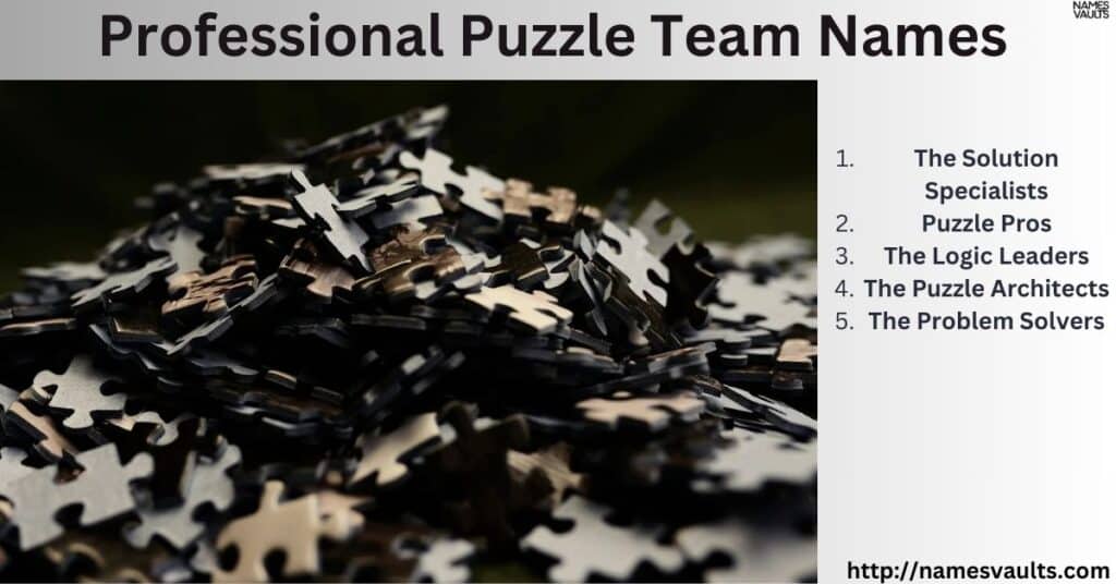 Professional Puzzle Team Names