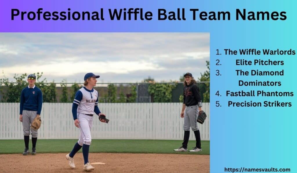 Professional Wiffle Ball Team Names