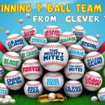 T Ball Feature Image