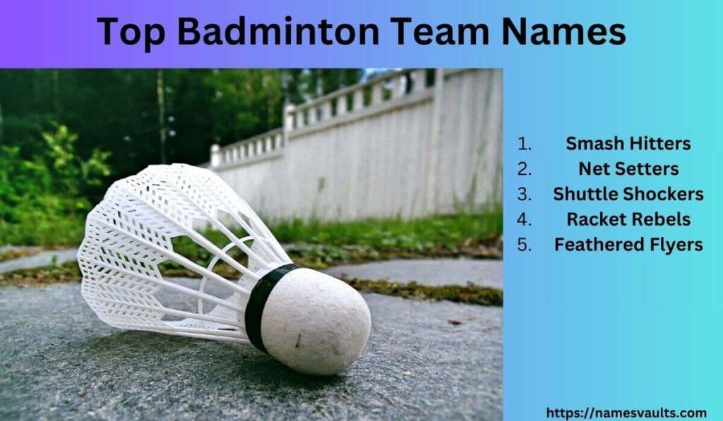 Top Badminton Team Names