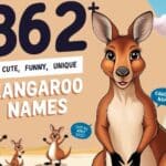 Kangaroo Names Featured Image