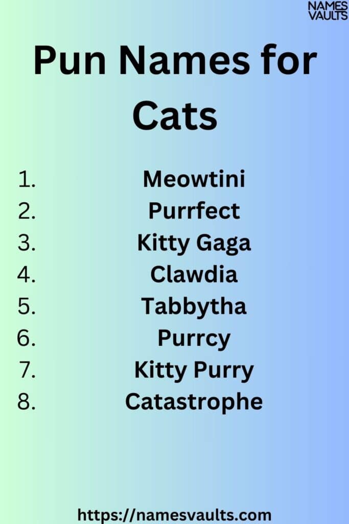 Pun Names for Cats