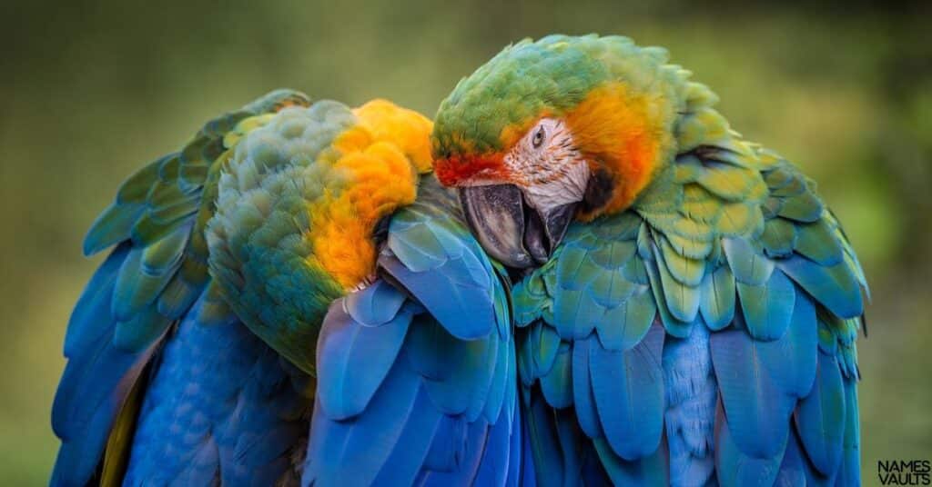 Unique Names for Parrots